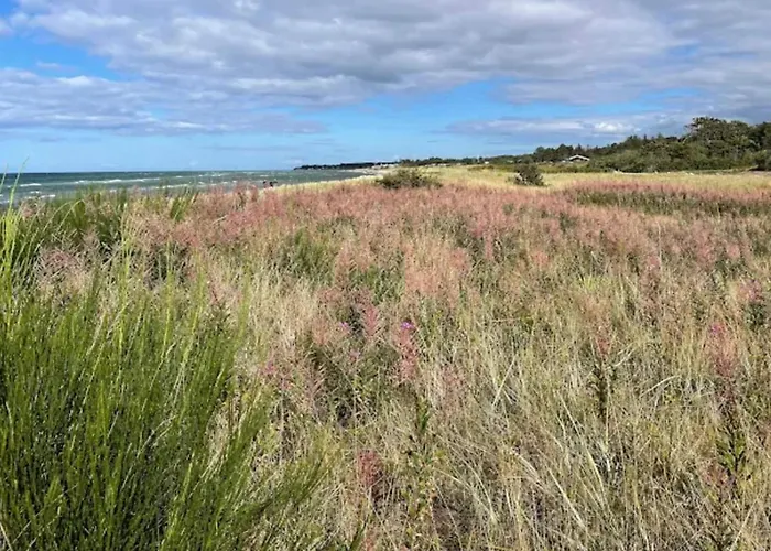 4 Person In Glesborg